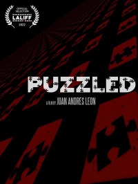 Puzzled