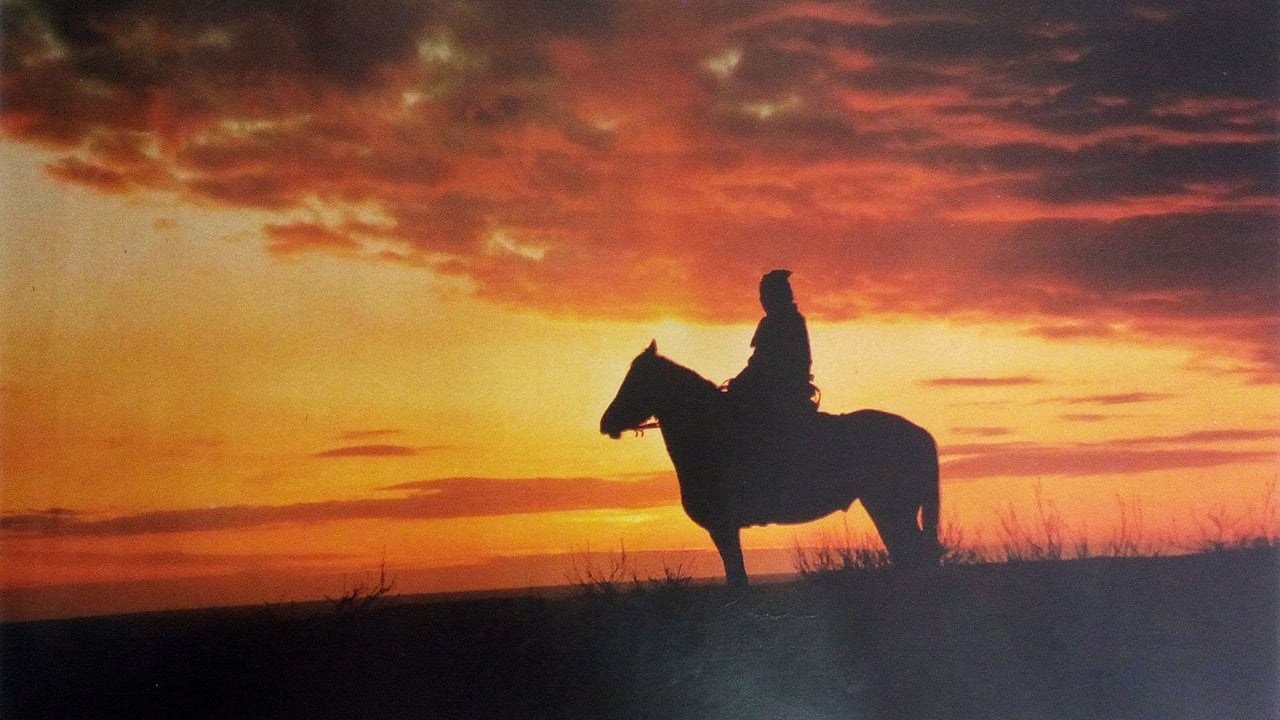 Foto de A TERRA-COTTA WARRIOR