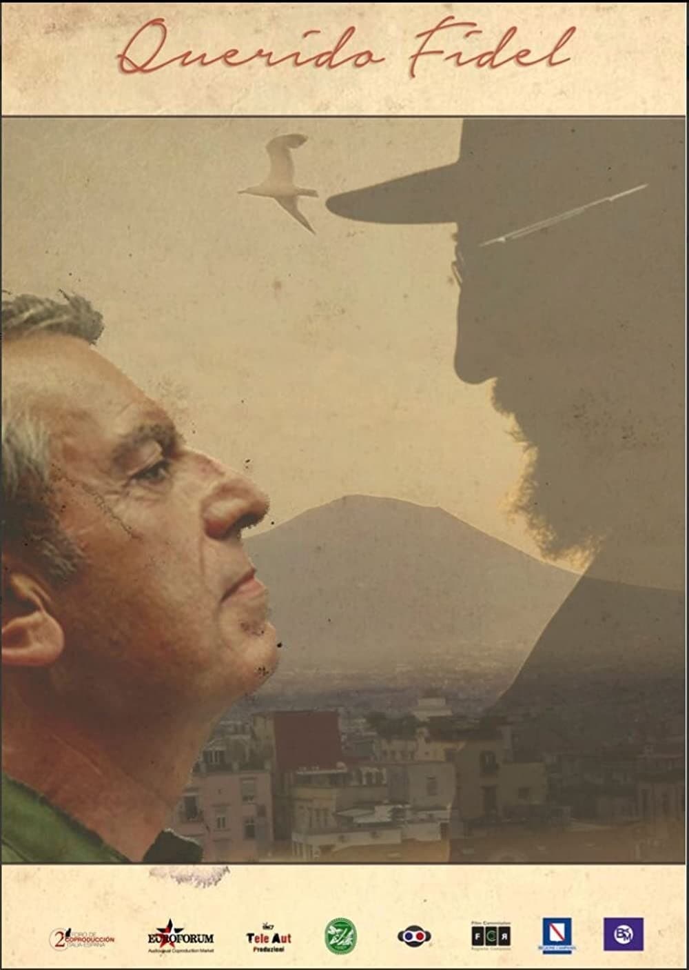 Poster de QUERIDO FIDEL
