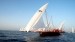 Racing Dhows of Arabia
