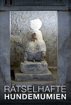 Rätselhafte Hundemumien