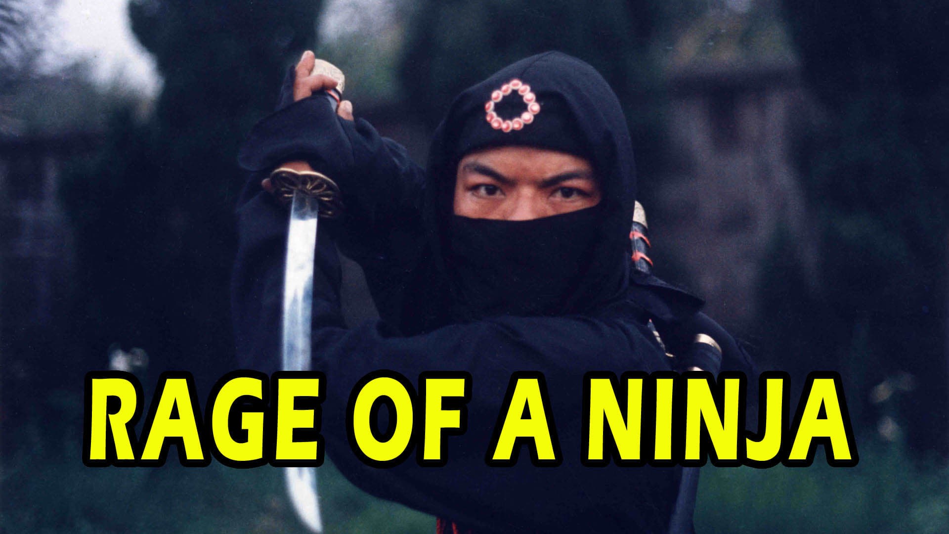 Foto de RAGE OF NINJA
