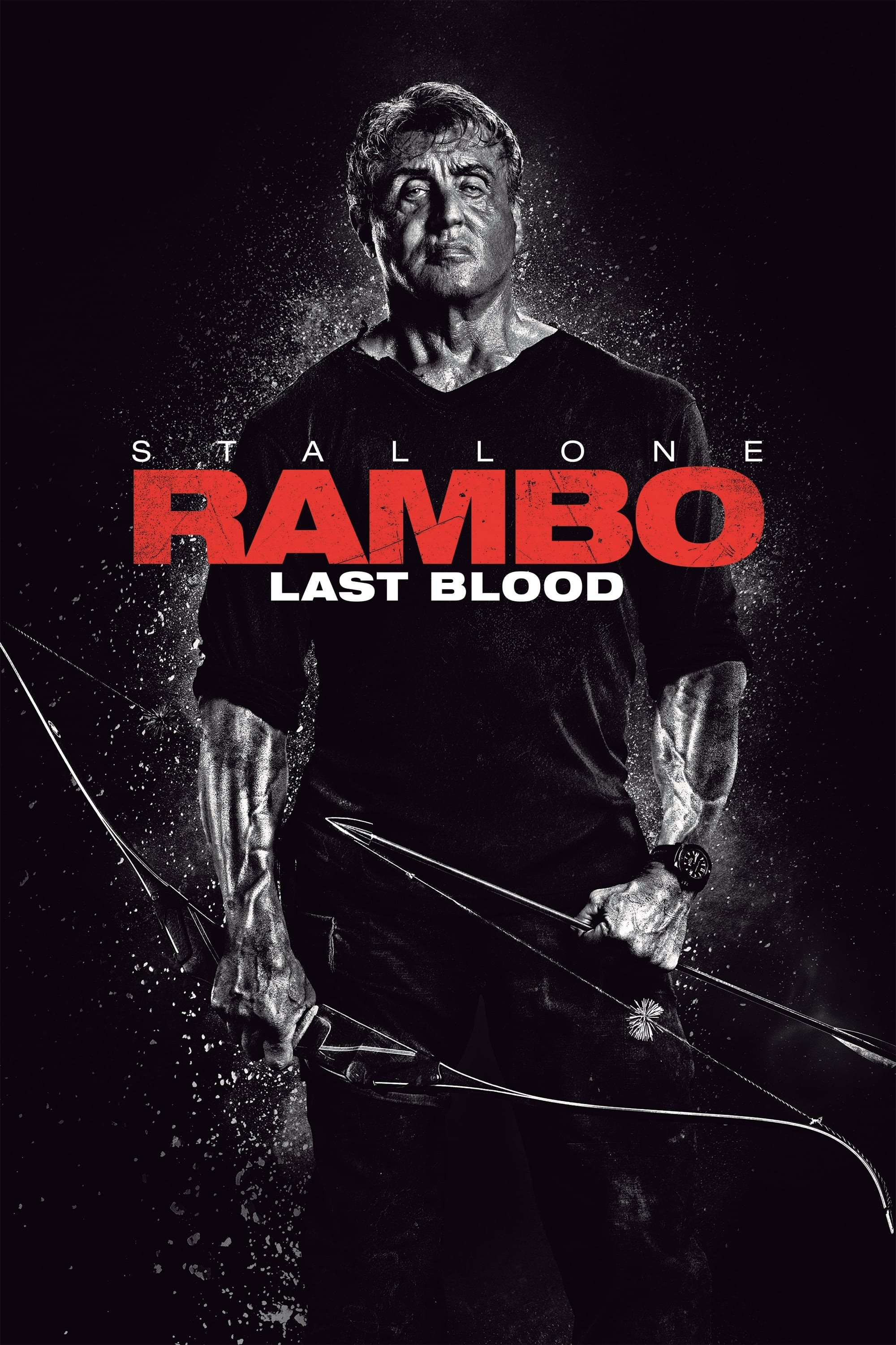 Poster de RAMBO: LAST BLOOD en español