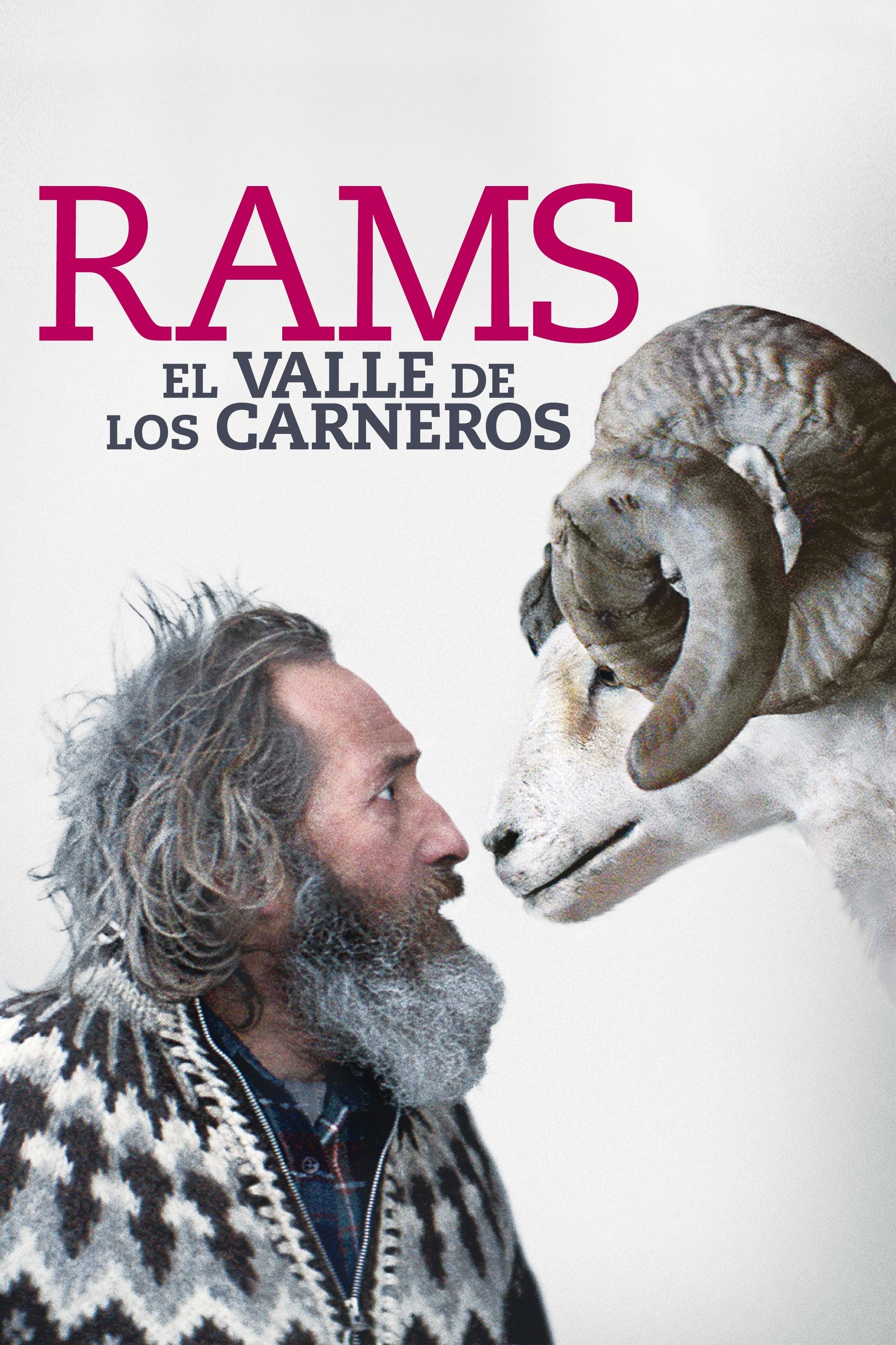 Poster de RAMS: EL VALLE DE LOS CARNEROS en español