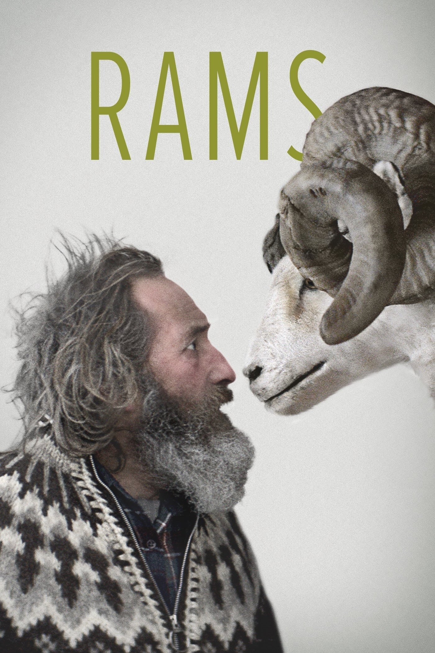 Poster de RAMS: EL VALLE DE LOS CARNEROS en inglés