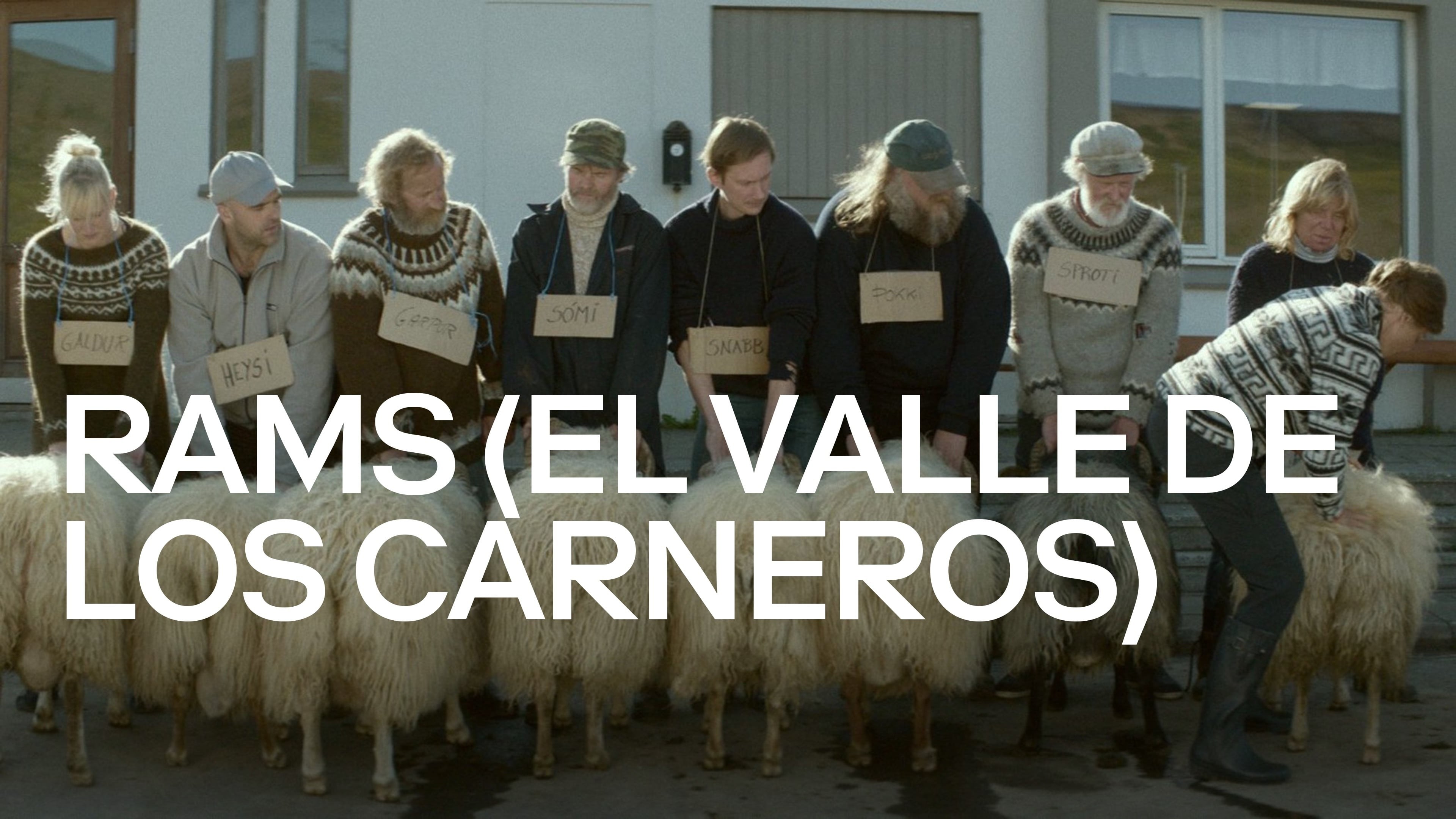 Foto de RAMS: EL VALLE DE LOS CARNEROS