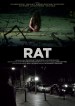 Rat