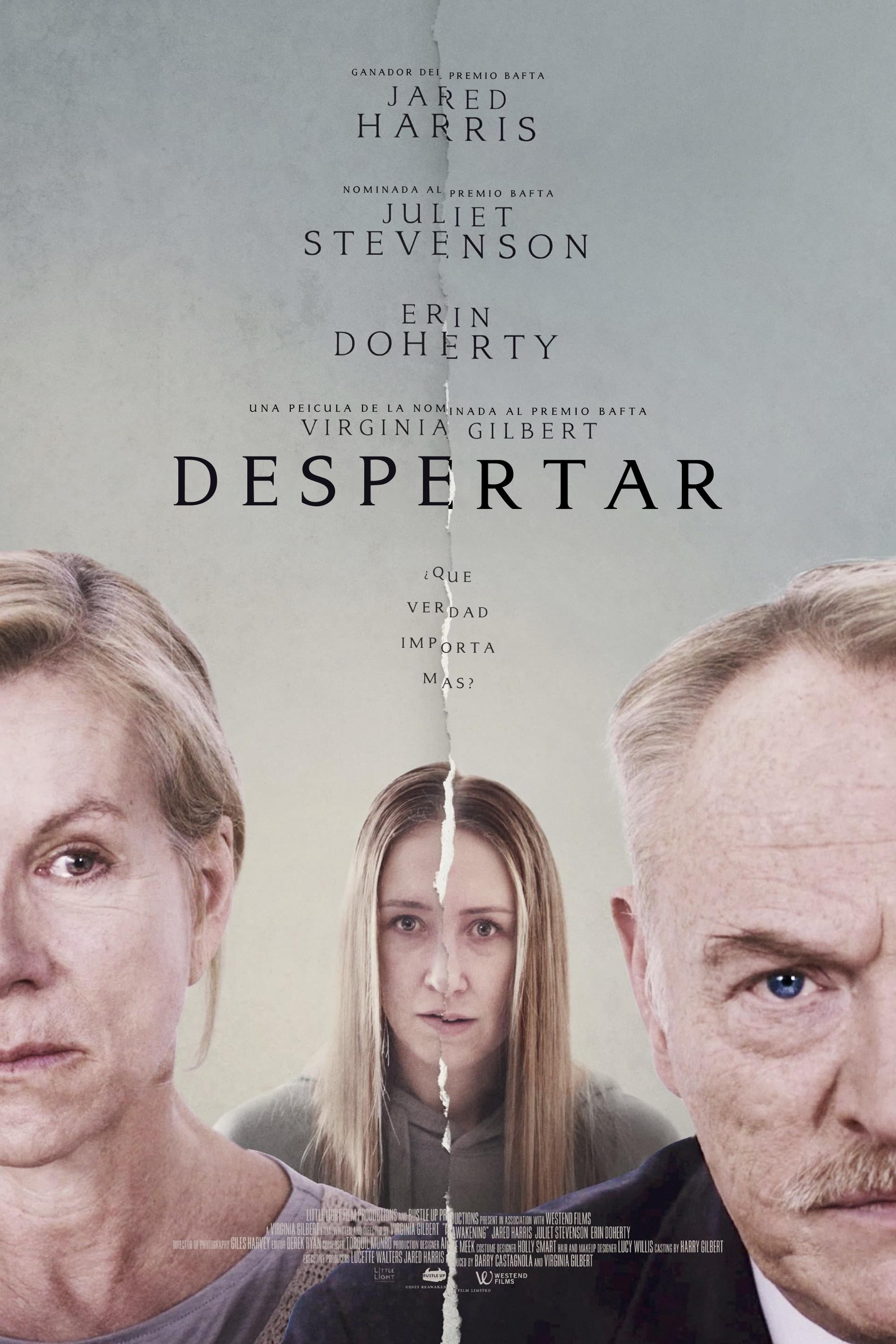 Poster de REAWAKENING en español