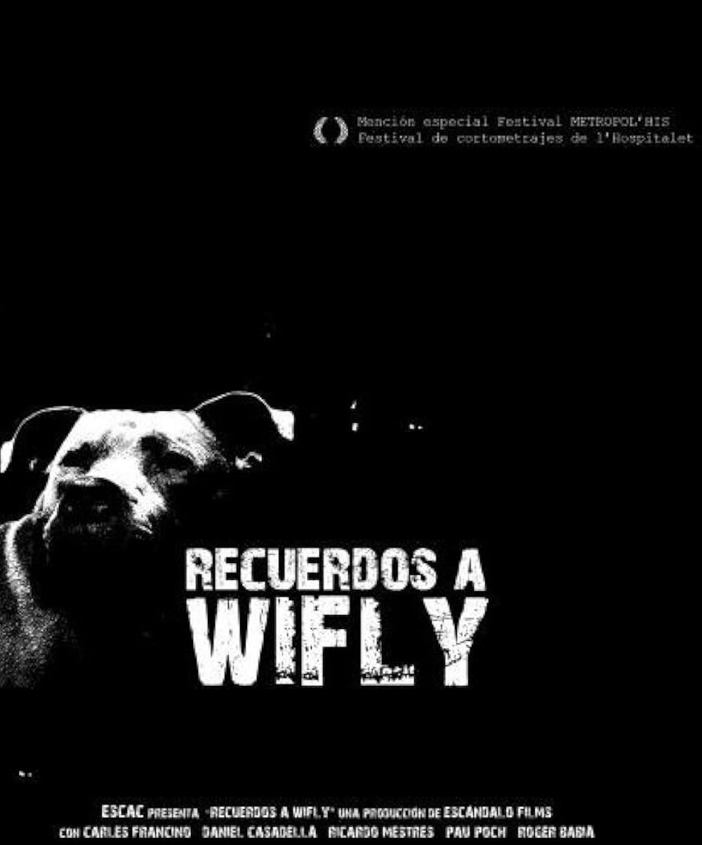 Poster de RECUERDOS A WIFLY