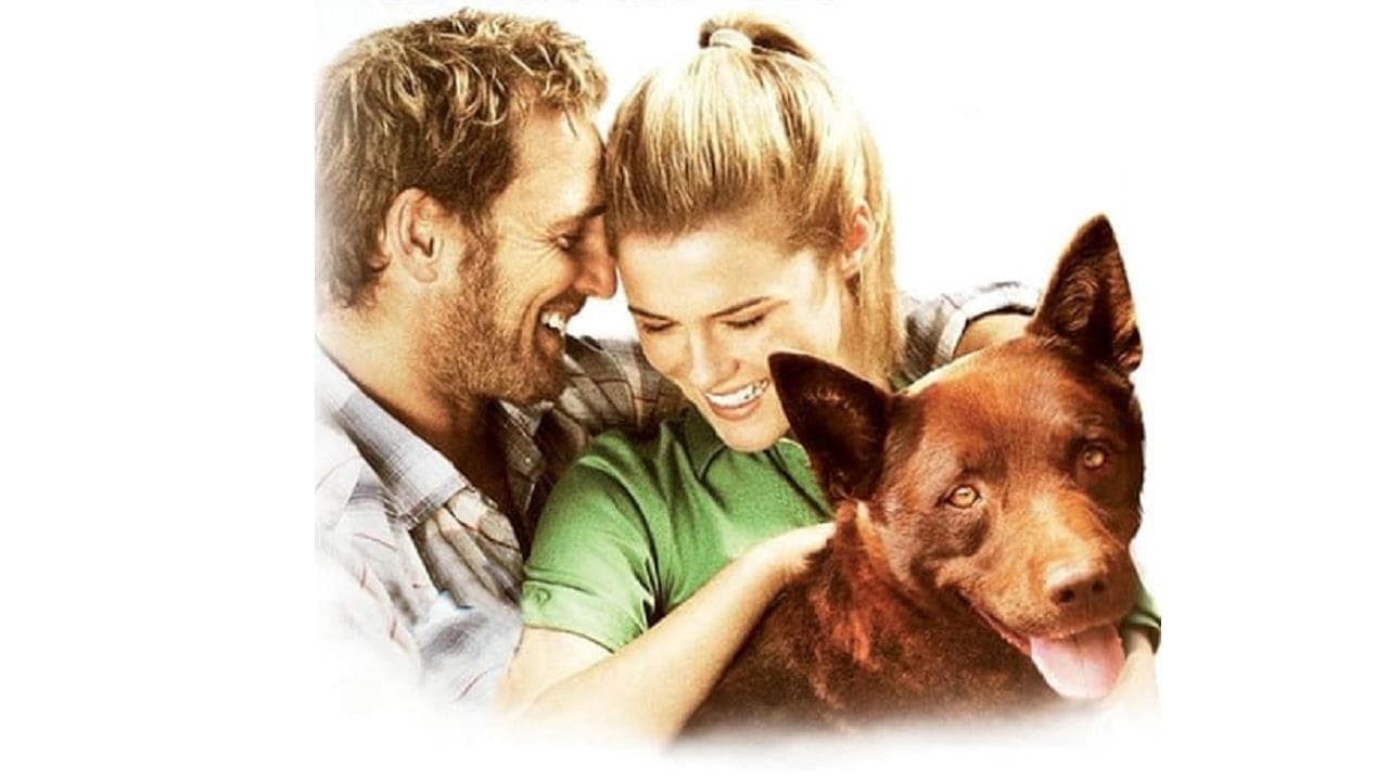 Foto de RED DOG