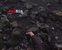 RedSin