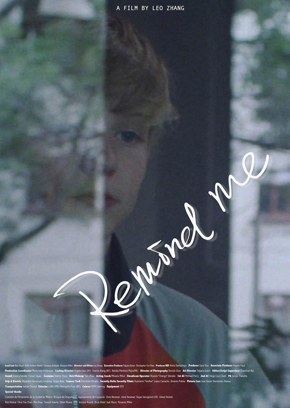 Poster de REMIND ME
