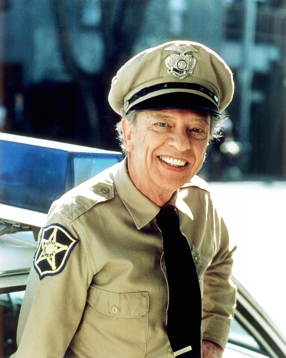 Poster de RETURN TO MAYBERRY