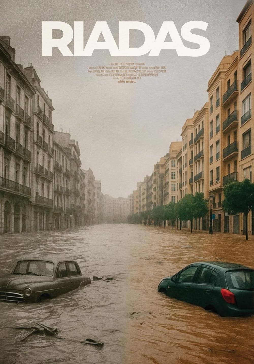 Poster de RIADAS