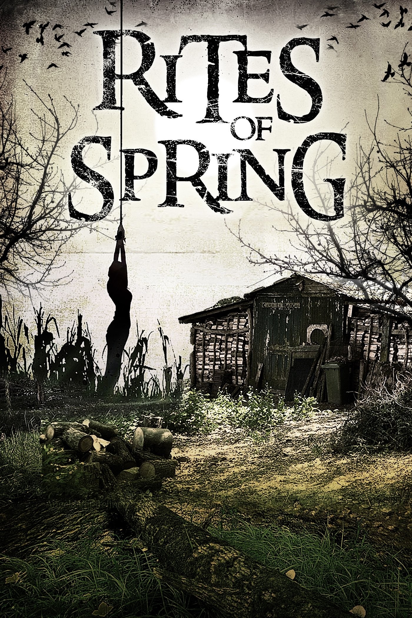 Poster de RITES OF SPRING en inglés