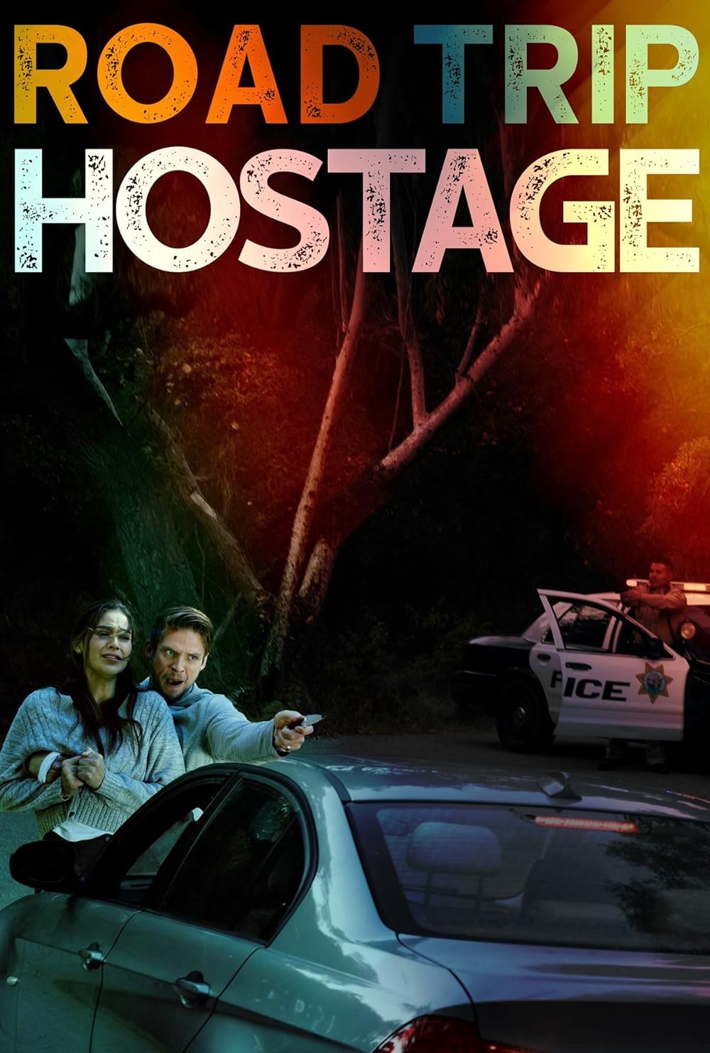Poster de ROAD TRIP HOSTAGE