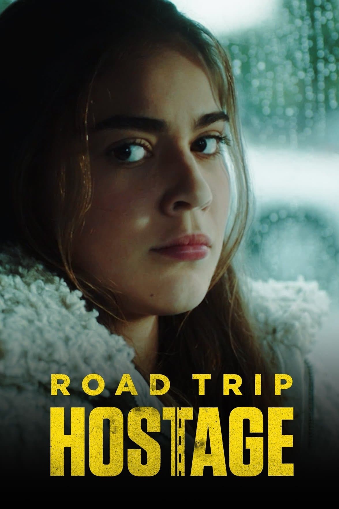 Poster de ROAD TRIP HOSTAGE