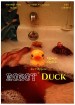 Robot Duck