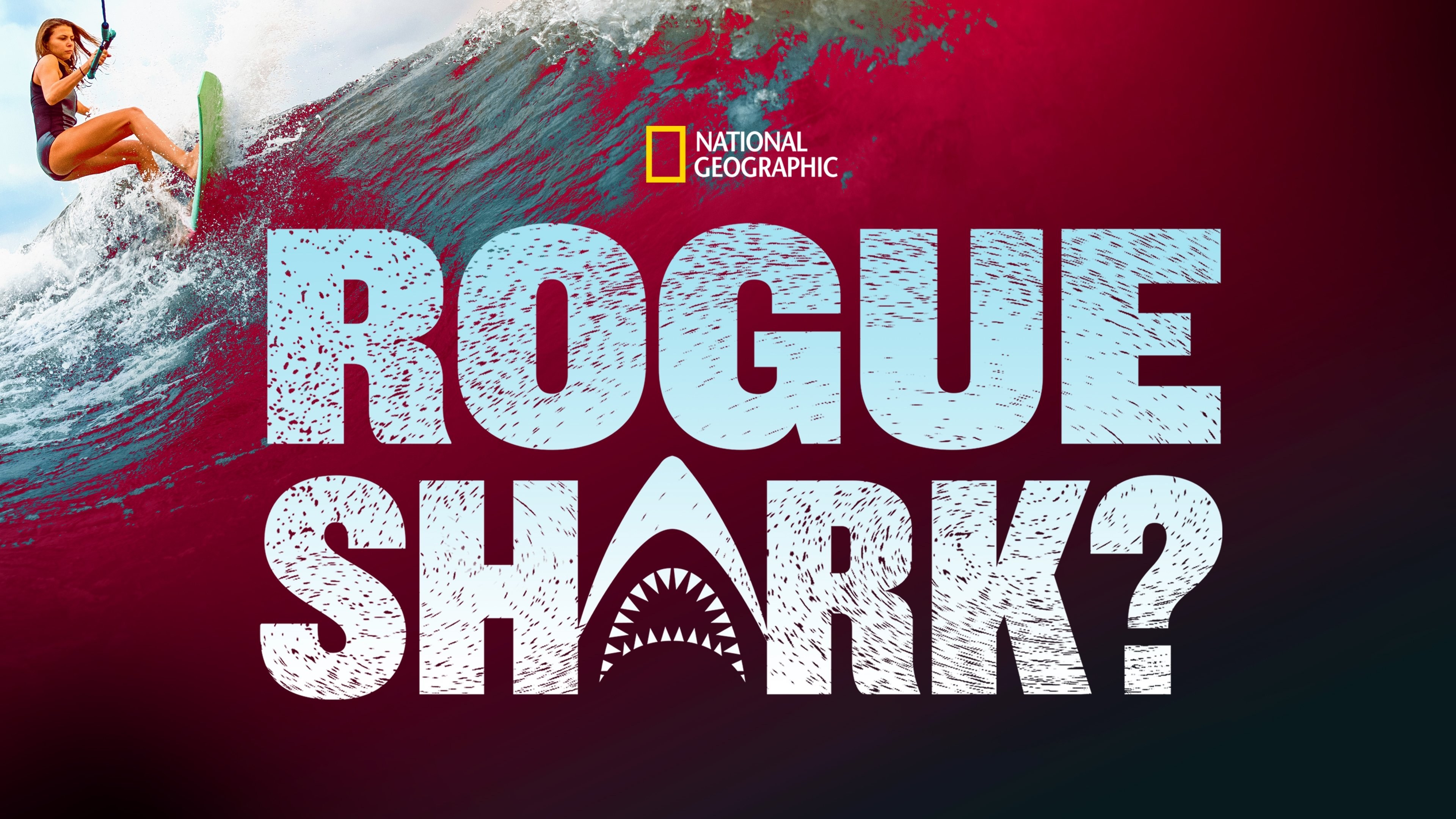 Foto de ROGUE SHARK?
