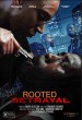 Rooted Betrayal