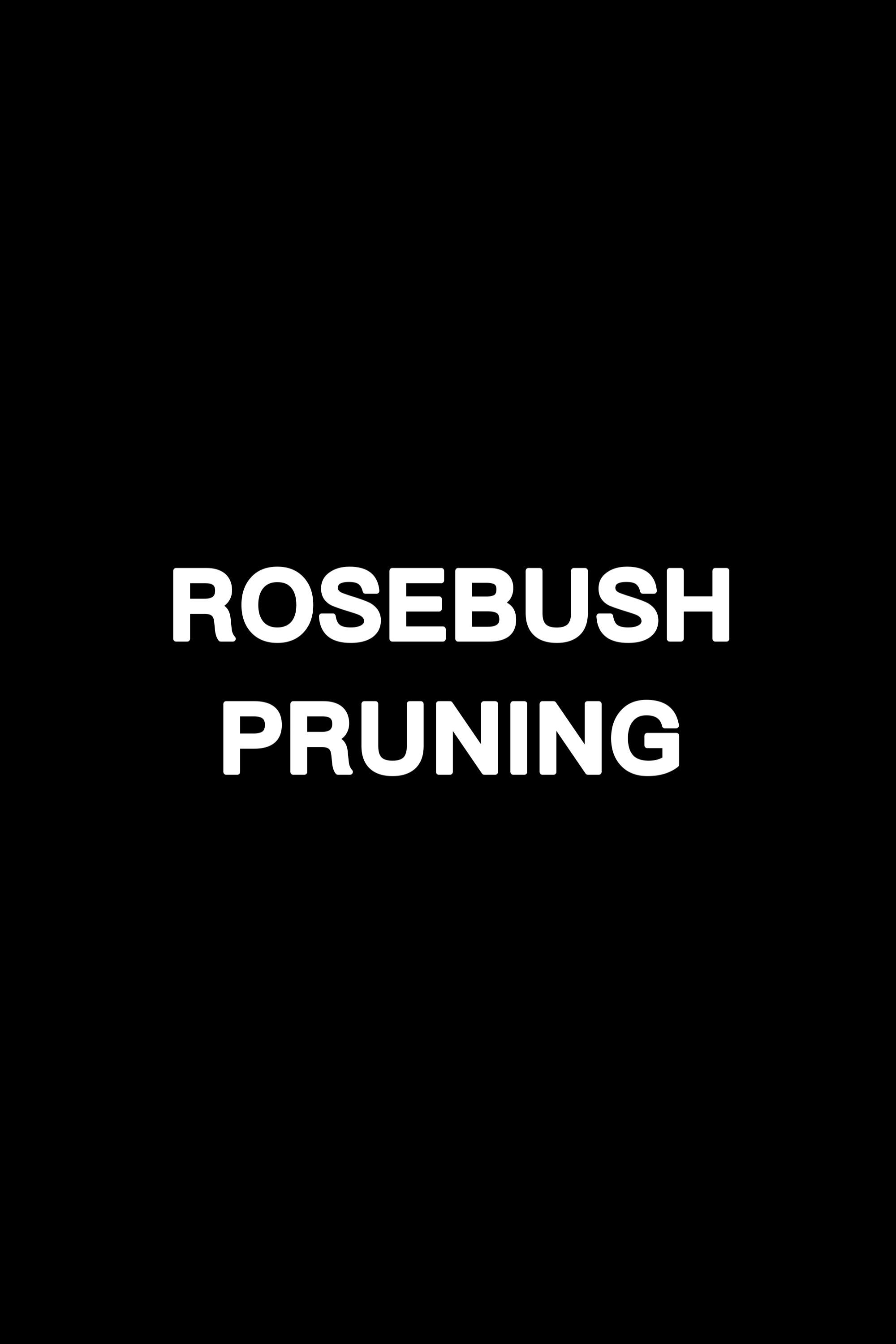 Poster de ROSEBUSH PRUNING en inglés