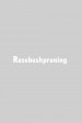 Rosebush Pruning