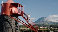 Rota da Vinha do Vinho e dos Maroiços