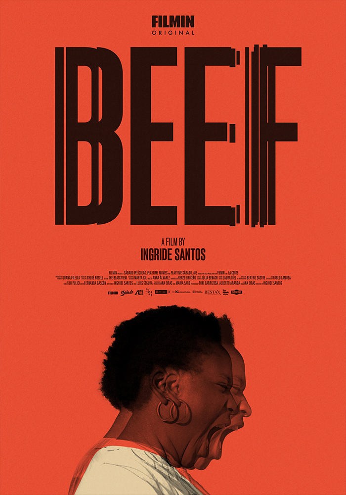 Poster de RUIDO en inglés