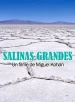 Salinas grandes