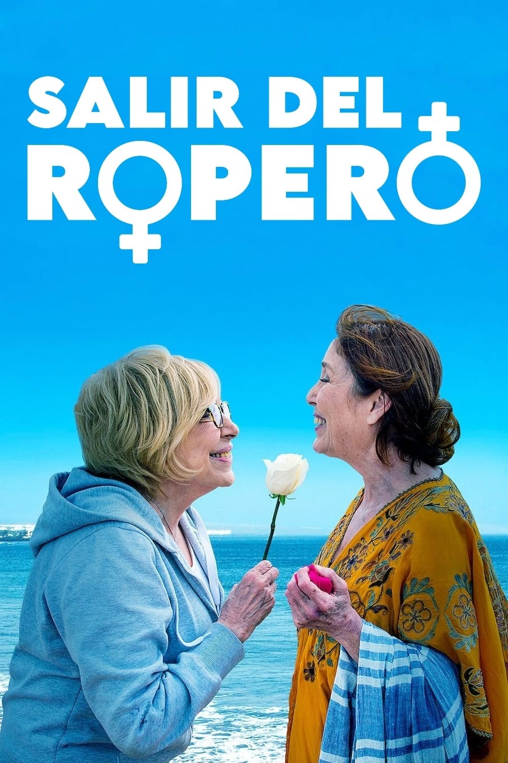 Poster de SALIR DEL ROPERO en español