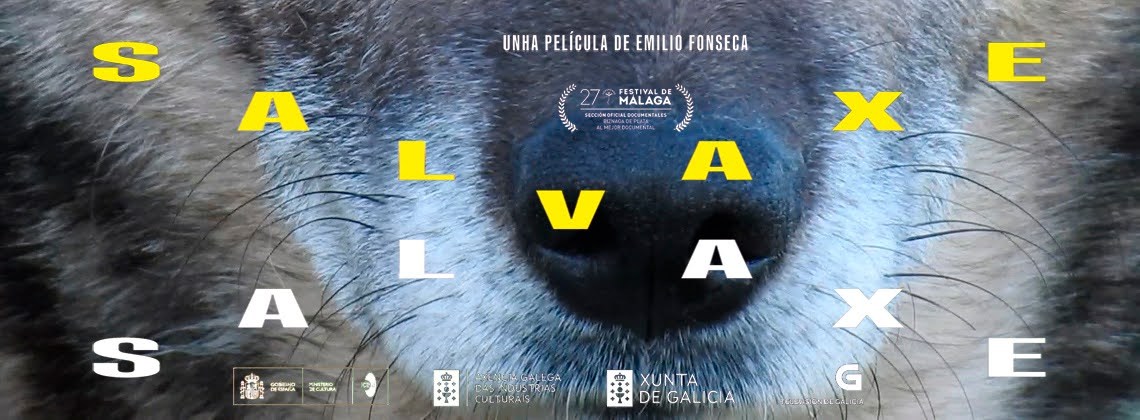 Foto de SALVAXE, SALVAXE