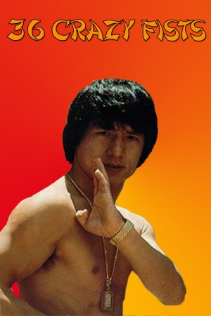 San shi liu mi xing quan