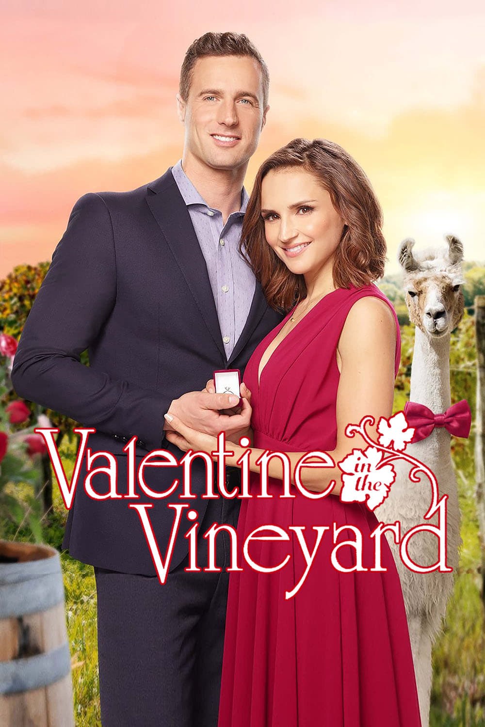 Poster de SAN VALENTÍN EN LOS VIÑEDOS en inglés