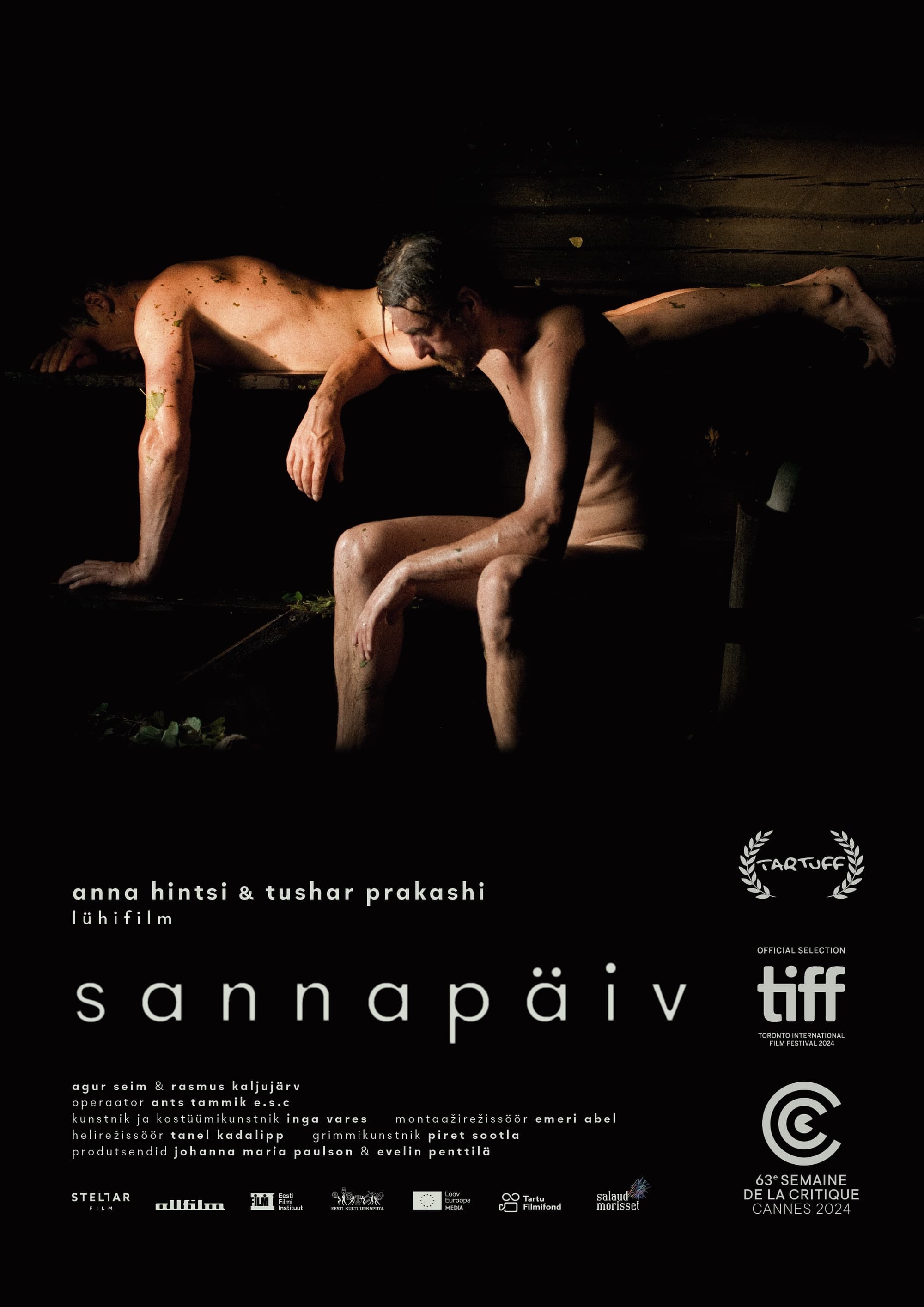 Poster de SANNAPÄIV