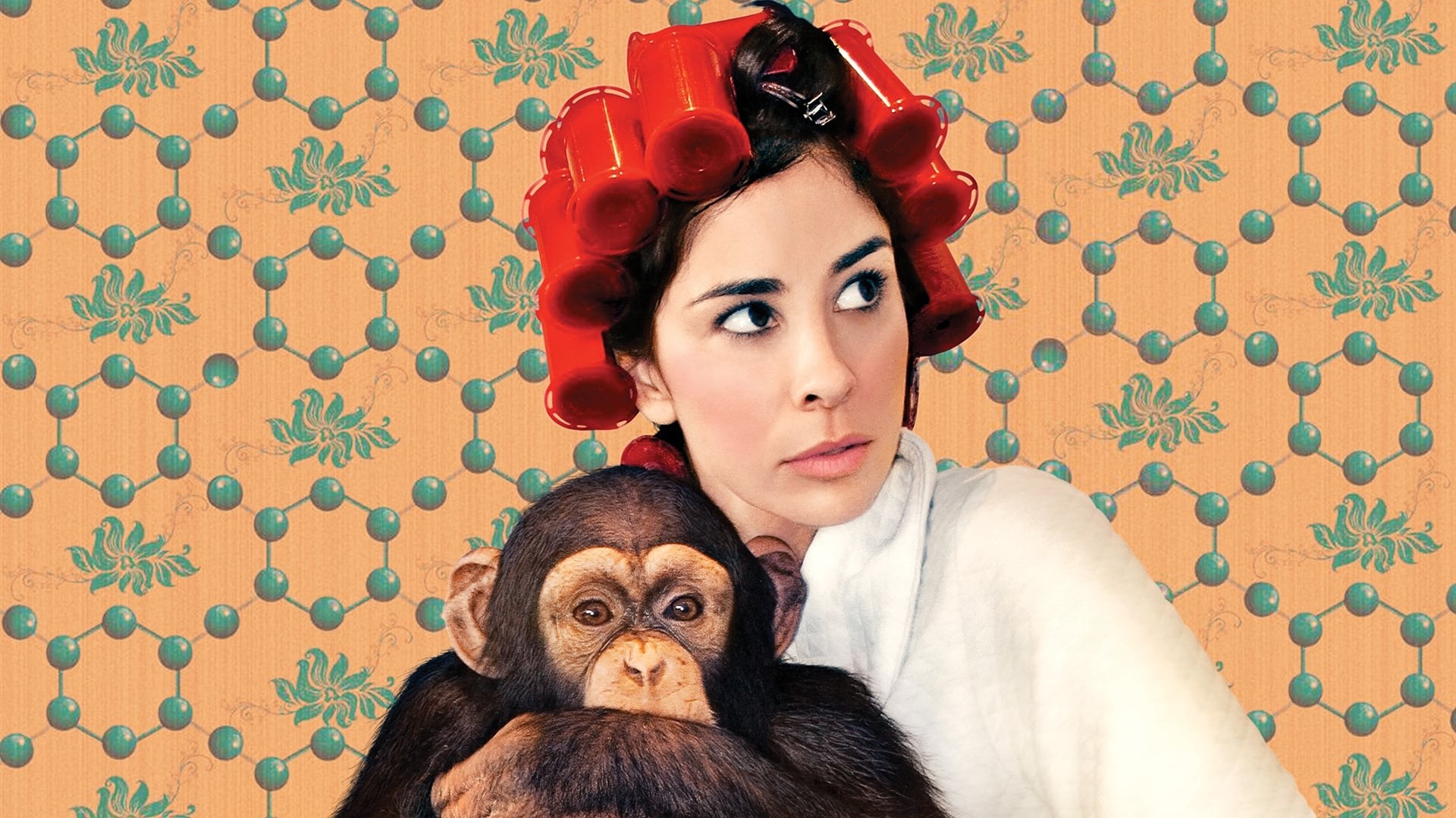 Foto de SARAH SILVERMAN: WE ARE MIRACLES
