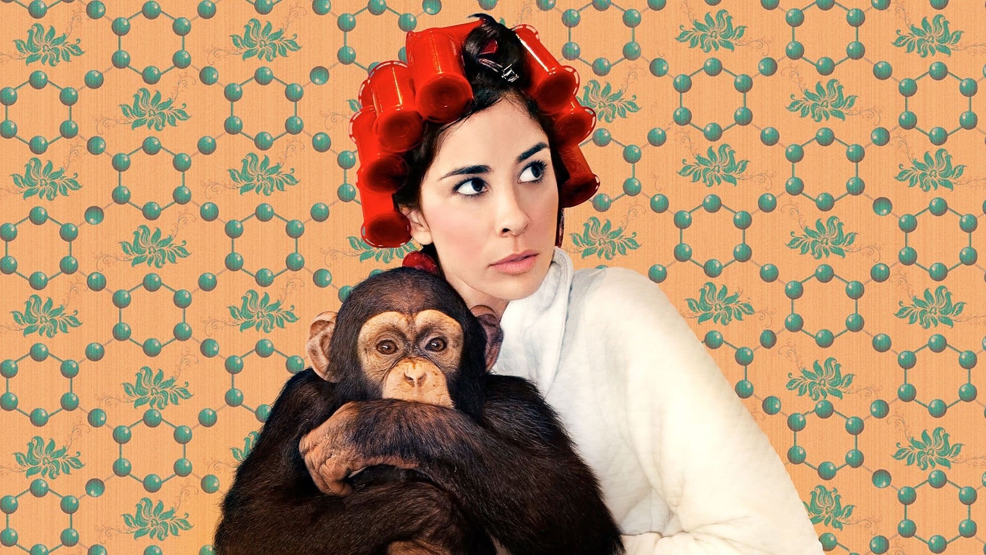 Foto de SARAH SILVERMAN: WE ARE MIRACLES