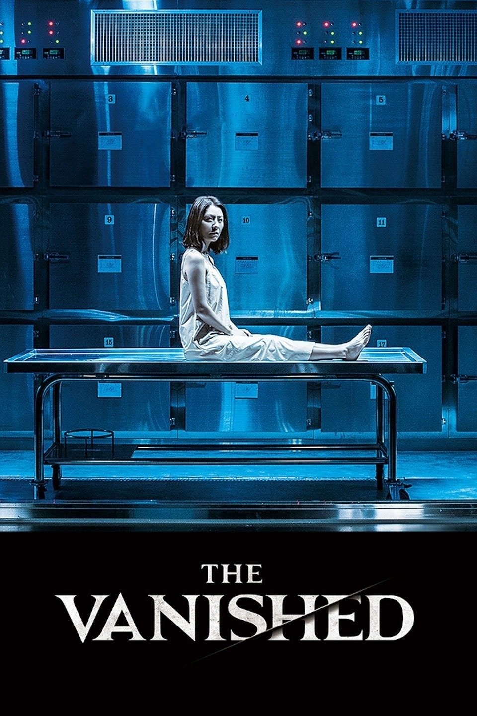Poster de THE VANISHED en inglés