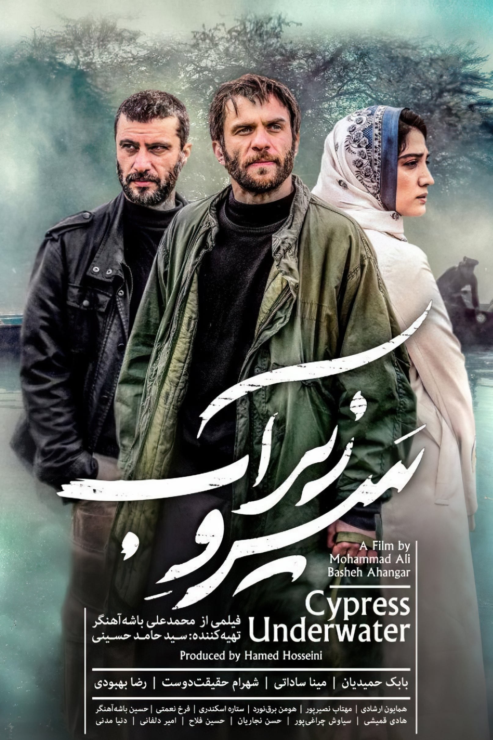 Poster de SARV ZIRE AB en inglés