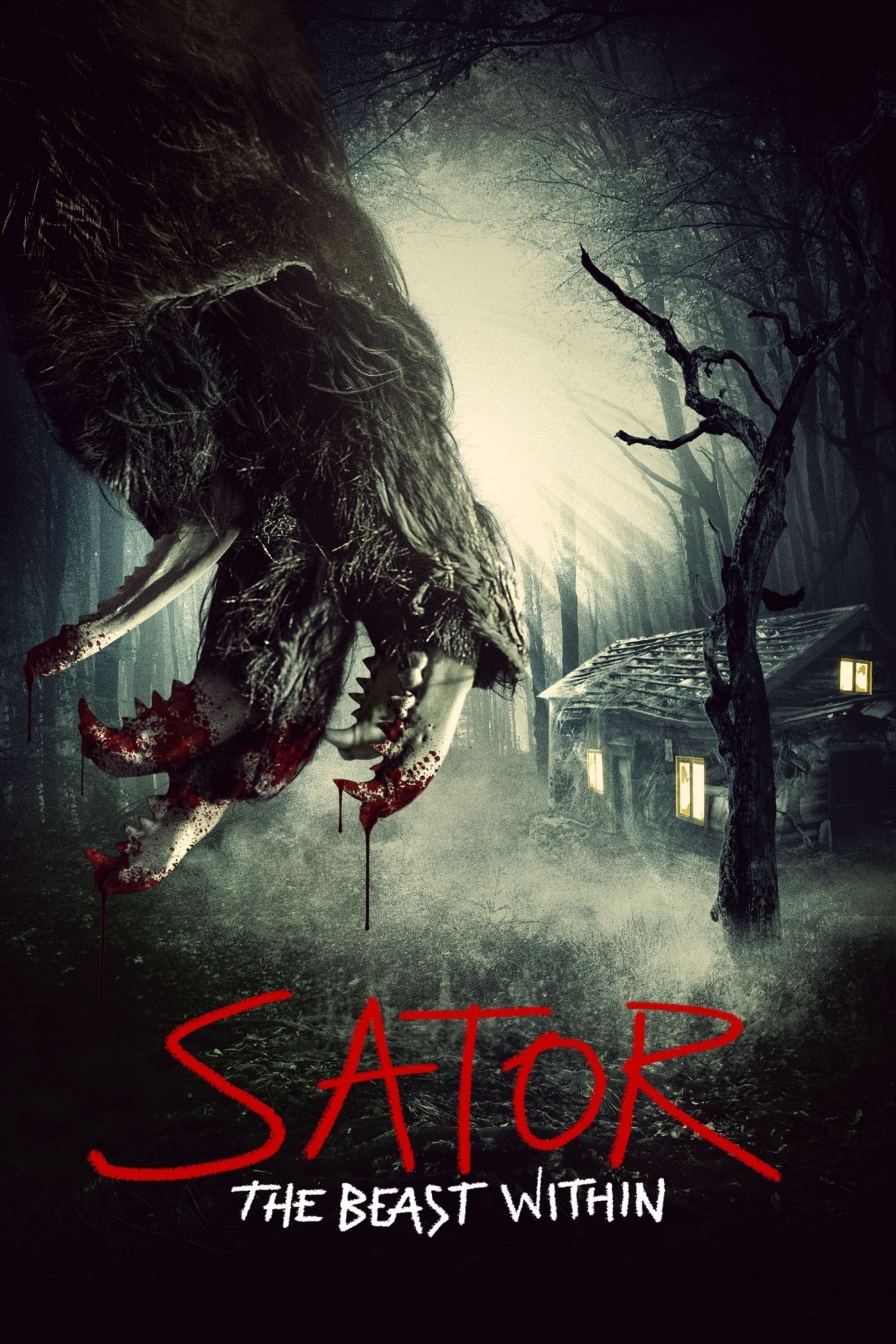 Poster de SATOR en inglés