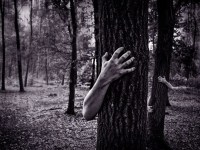 Scary Stories 2018