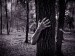 Scary Stories 2018