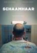 Schaamhaar