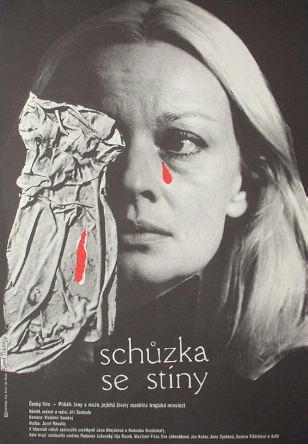 Poster de SCHŮZKA SE STÍNY