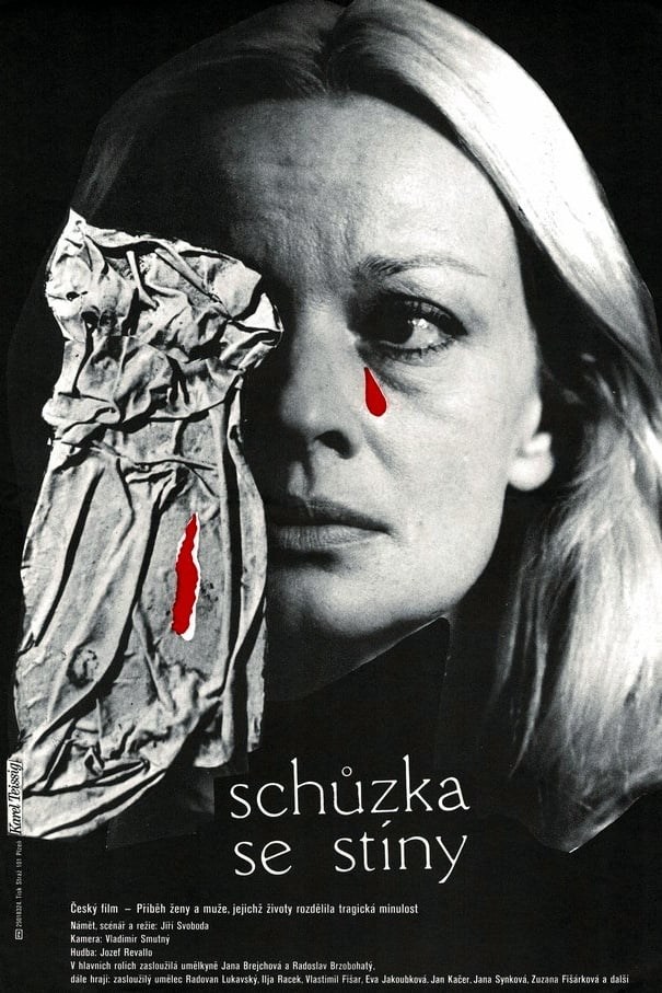 Poster de SCHŮZKA SE STÍNY