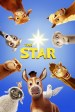 The Star