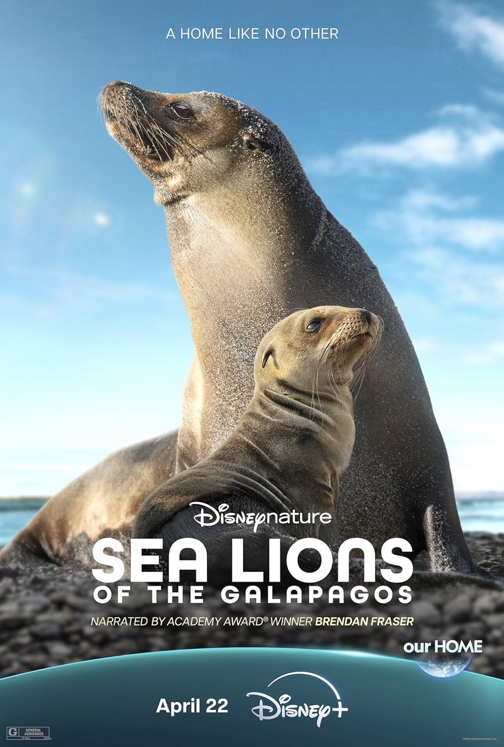 Poster de SEA LIONS OF THE GALAPAGOS