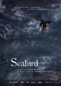 Seabird