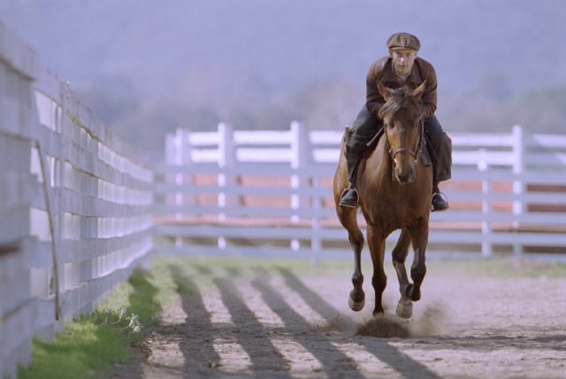 Foto de SEABISCUIT, MÁS ALLÁ DE LA LEYENDA