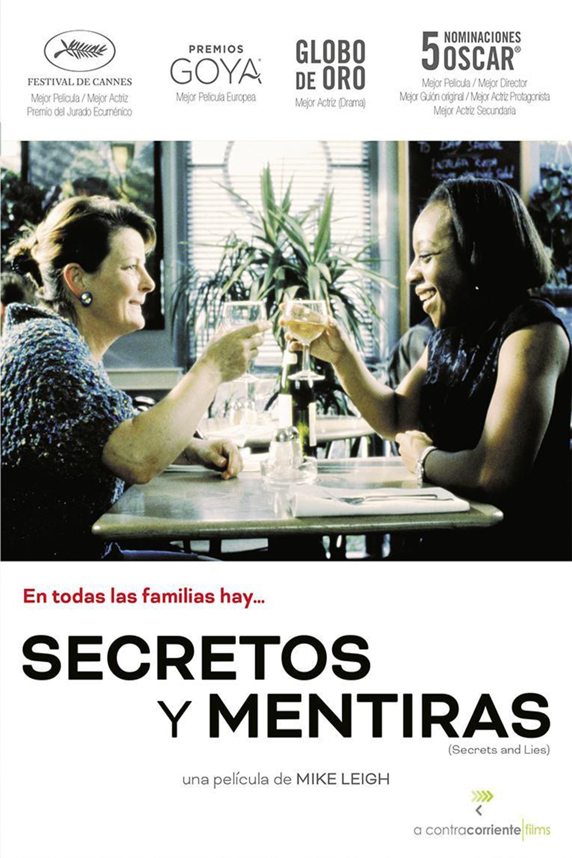 Poster de SECRETOS Y MENTIRAS en español