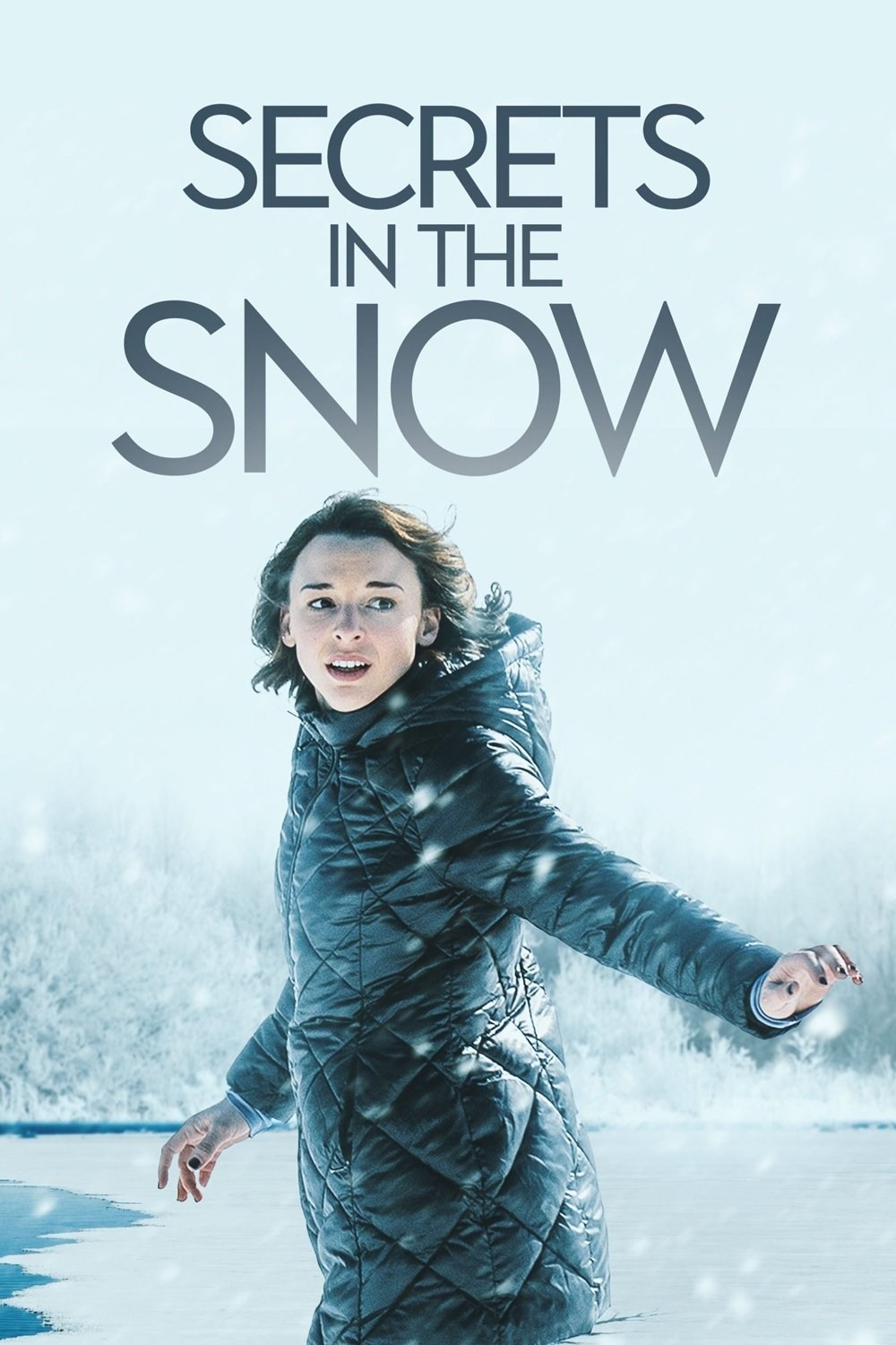 Poster de SECRETS IN THE SNOW
